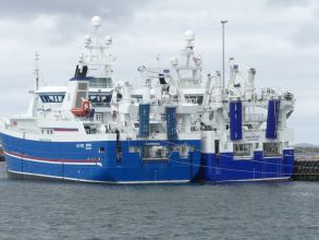 Adenia and Zephyr, pelagic boats